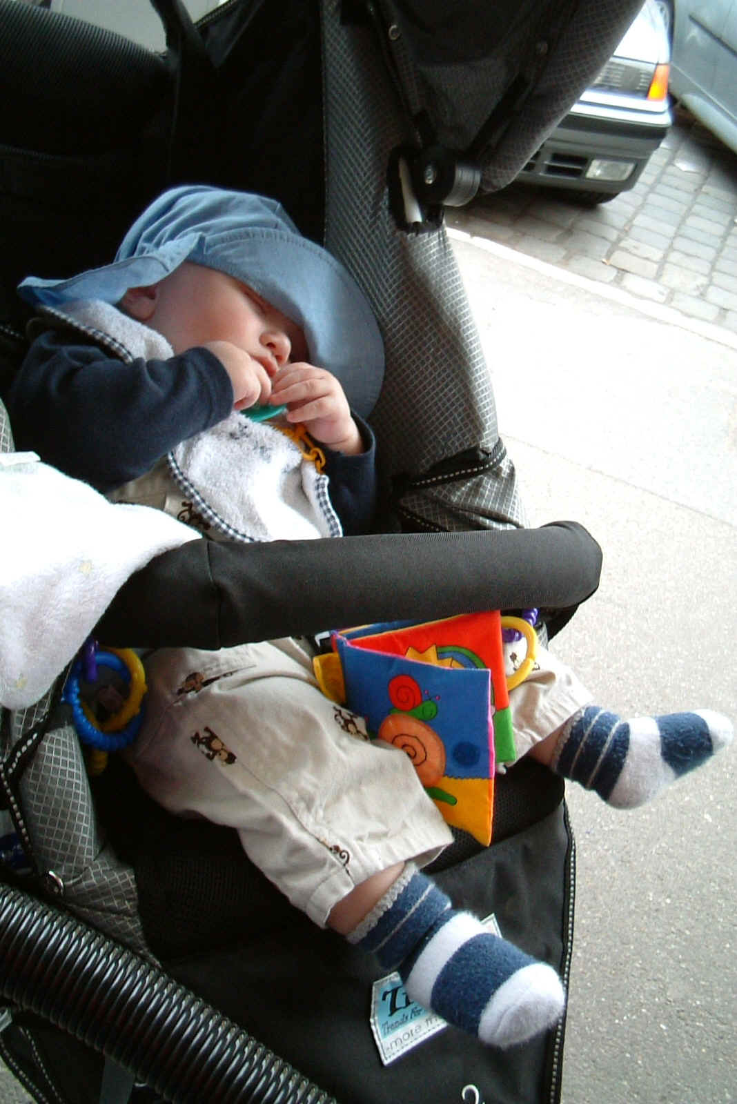 7- Dscf0098 sleeping in stroller.JPG (540410 bytes)